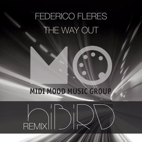 Federico Fleres - The Way Out (Hibird Remix) [2015]