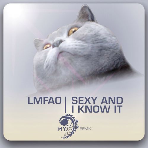 LMFAO - Sexy And I Know It (MY remix).mp3