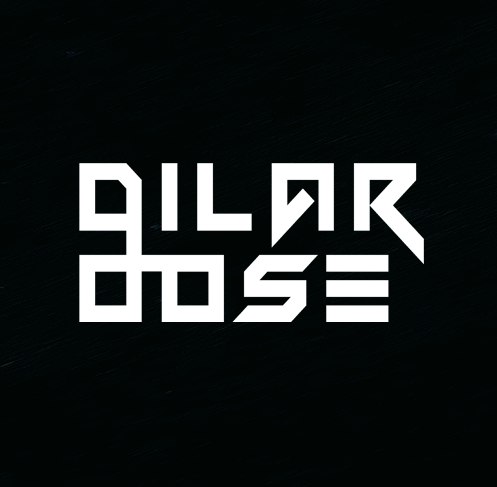 Dilaroose - Night Voices (Original Mix).mp3