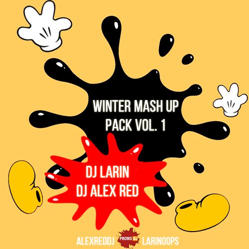 DJ Alex Red & DJ Larin - Winter Mashup's [2016]