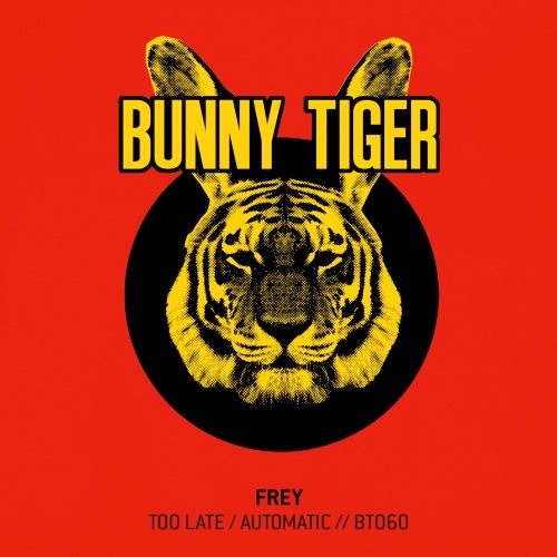 Frey - Too Late (Original Mix).mp3
