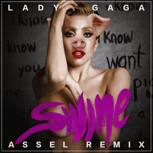 Lady Gaga - Swine (Assel Remix).wav