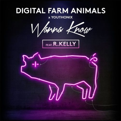 Digital Farm Animals x Youthonix  - Wanna Know (feat. R Kelly).mp3