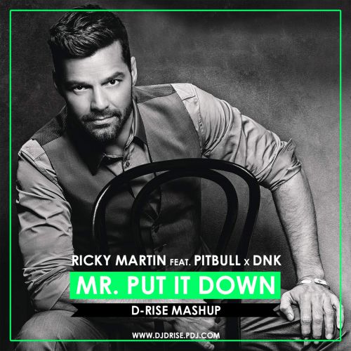 Ricky Martin feat. Pitbull vs. DNK - Mr. Put It Down (D-Rise Mashup).mp3