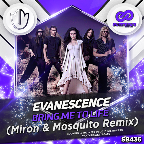 Evanescence - Bring Me To Life (Miron & Mosquito Remix).mp3
