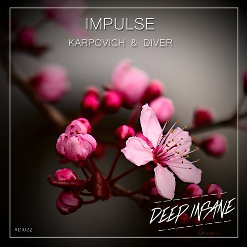 Diver, Karpovich - Impulse (Original Mix).mp3
