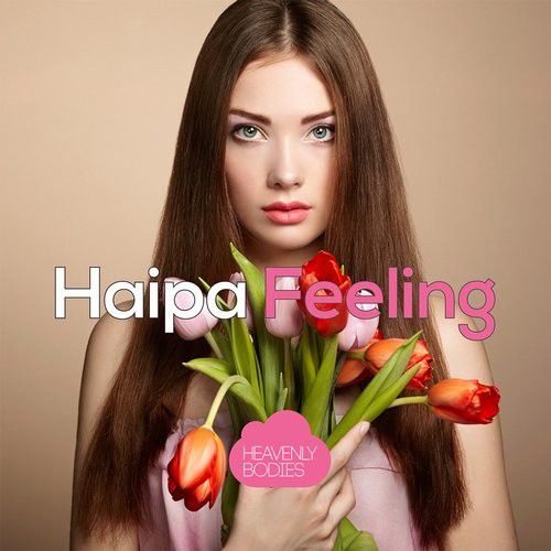 Haipa - Feeling (Original Mix).mp3