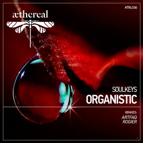 Soulkeys - Organistic (Rogier Remix).mp3