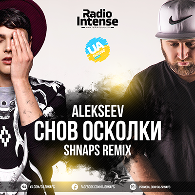 Alekseev -   (Shnaps Radio Edit).mp3