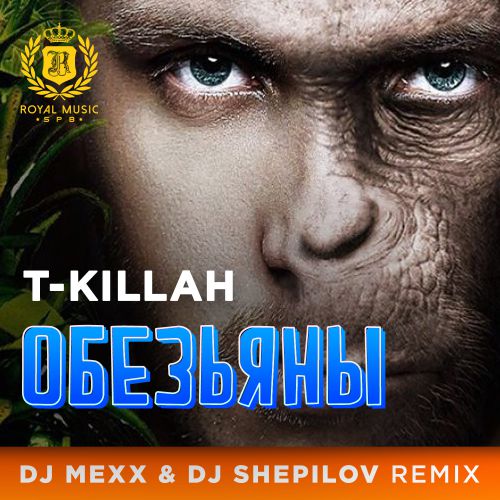 T-killah   (DJ Mexx & DJ Shepilov Remix)[2016]