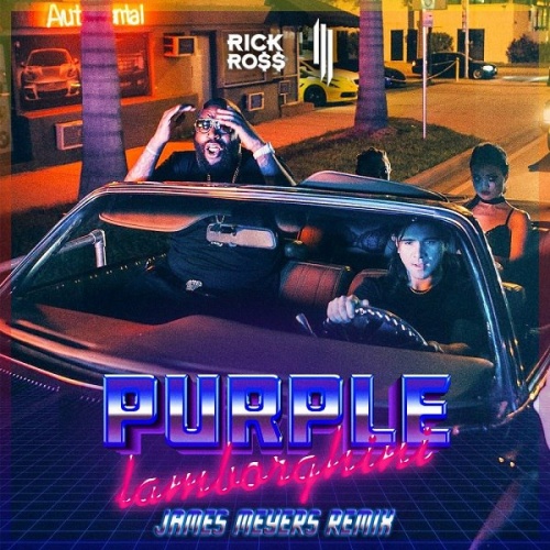 Skrillex & Rick Ross - Purple Lamborghini (James Meyers Remix).mp3