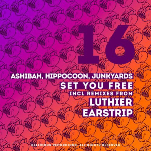 Ashibah, Hippocoon, Junkyards - Set You Free (Earstrip Remix).mp3