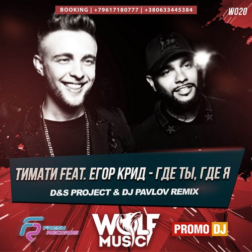  feat.   -  ,   (D&S Project & Dj Pavlov Remix) [2016]