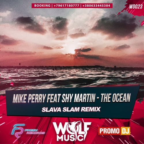 Mike Perry feat. Shy Martin - The Ocean (Slava Slam Remix) [2016]