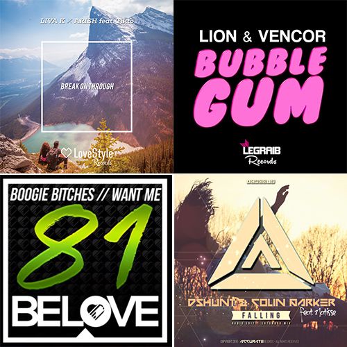 Lion & VENCOR - Bubble Gum (Vocal Mix).mp3
