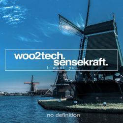 Woo2tech & Sensekraft - I Want You (Original Mix).mp3