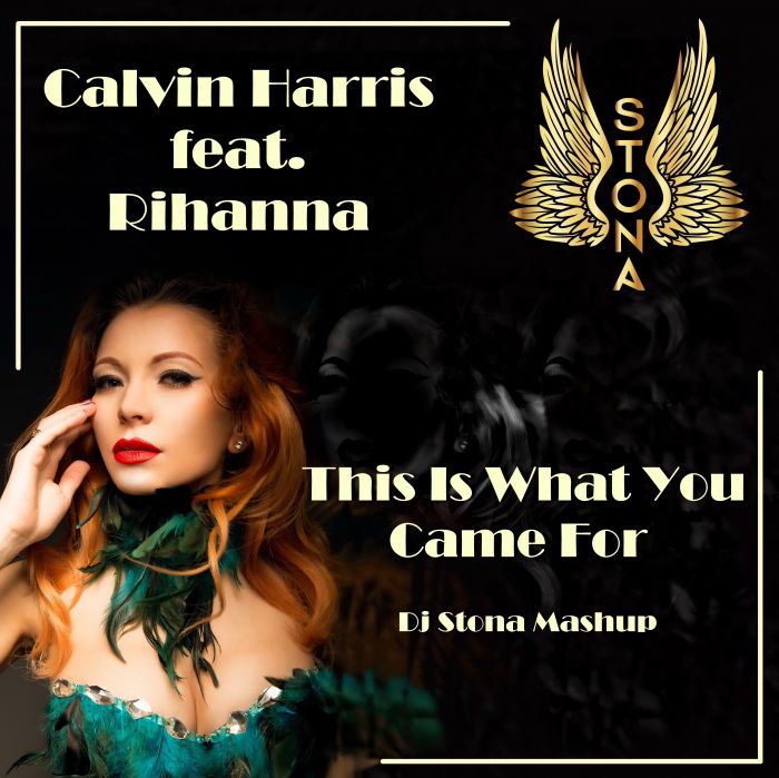 Calvin Harris feat. Rihanna - This Is What You Came For (Dj Stona Mash-Up) [2016]