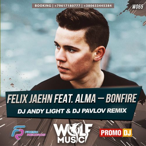 Felix Jaehn feat. Alma  Bonfire (Dj Andy Light & Dj Pavlov Remix).mp3