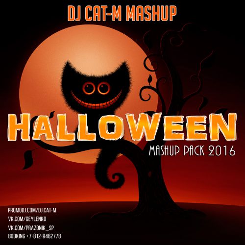 KRS-One vs. Mightyfools  Sound of Da Police (DJ Cat-M Mashup).mp3