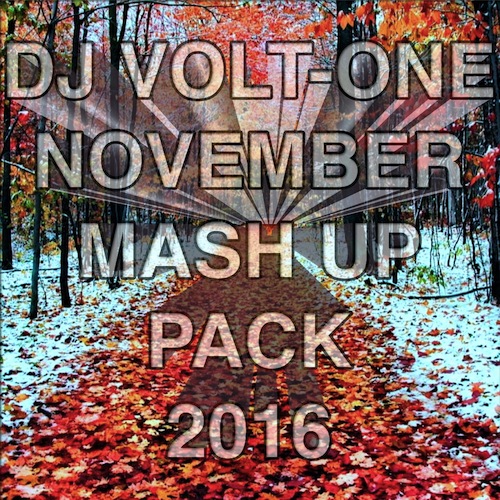 Te100steron Vs. Wolfgang Gartner -    (DJ Volt-One Mash Up).mp3
