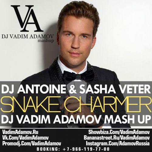 DJ Antoine &Sasha Veter- Snake Charmer (DJ Vadim Adamov Mash Up).mp3