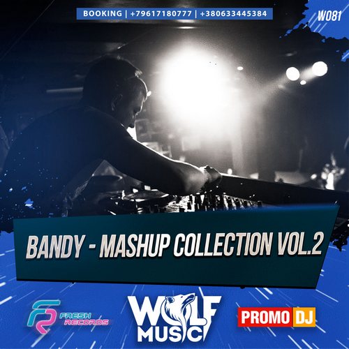 Bandy - Mashup Collection vol.2 [2016]