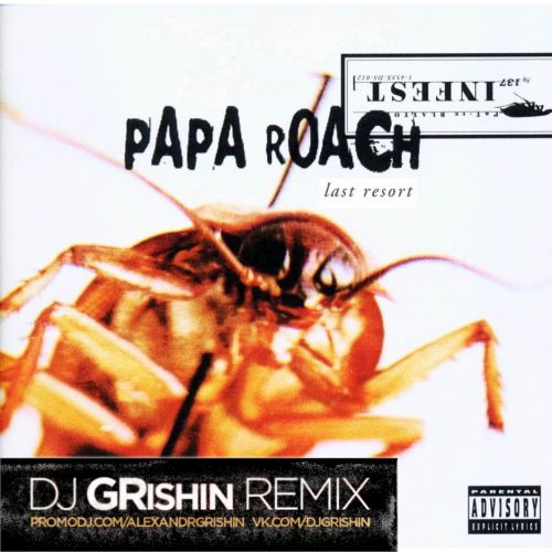 Papa Roach - Last resorT (DjGRishin Remix).mp3