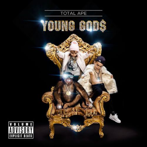 Total Ape - Young Gods (Original Mix).mp3