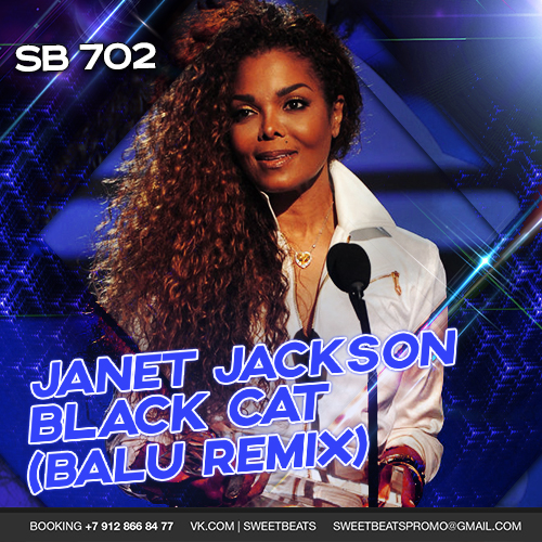 Janet Jackson  Black Cat (BaLU Remix).mp3