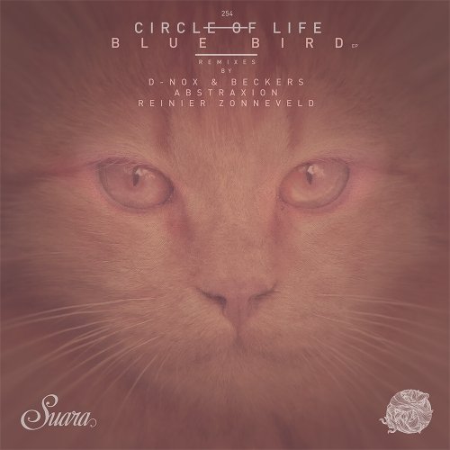 Circle of Life - Friday Night (D-Nox & Beckers Remix).mp3