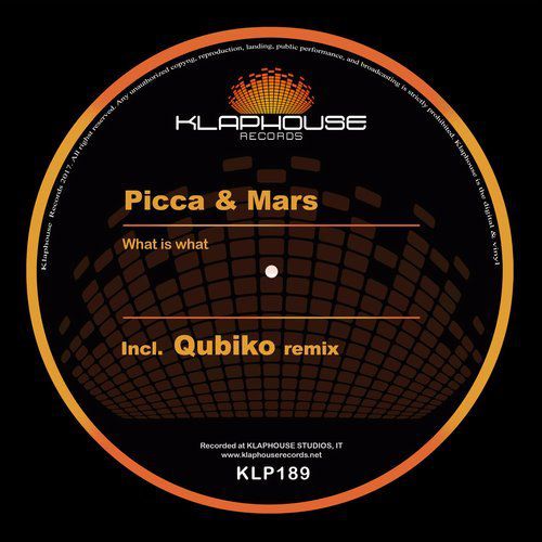 Picca & Mars - What Is What (Qubiko remix)