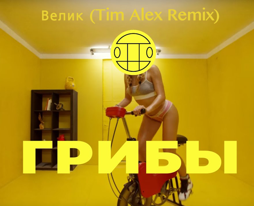  -  (Tim Alex Remix) [2017]