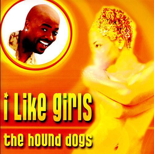 Hound Dogs - I Like Girls (Phunk Investigation Mastica Dub Mix).mp3