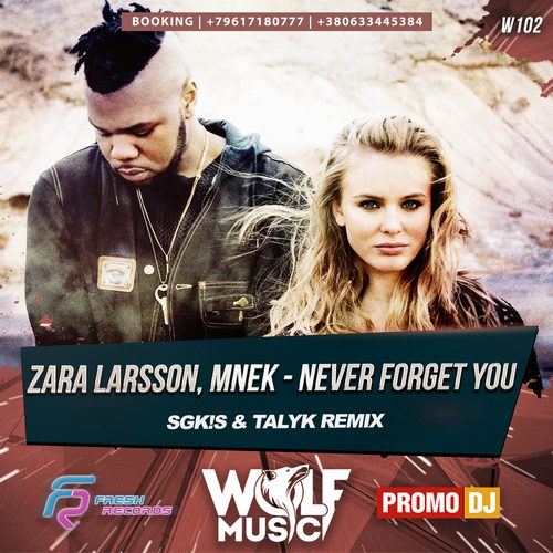 Zara Larsson, Mnek - Never Forget You (Sgk!s & Talyk Remix) [2017]