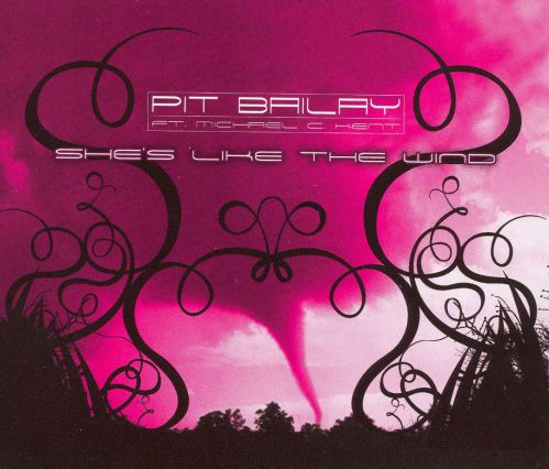 05 Pit Bailay ft. Michael C. Kent - She's Like The Wind (Alternative Radio Mix).mp3