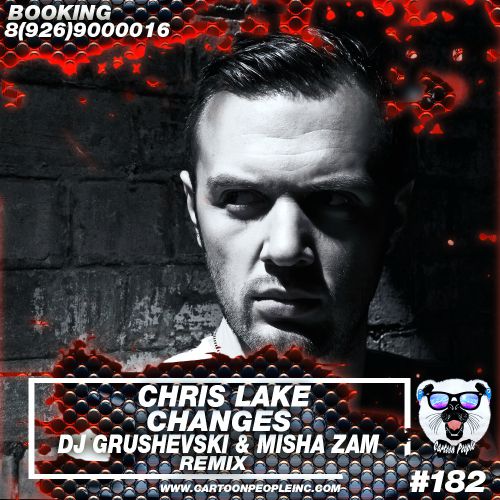 Chris Lake - Changes (DJ Grushevski & Misha ZAM Remix).mp3