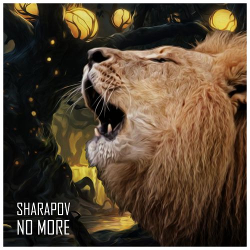 Sharapov - No More (Original Mix).mp3