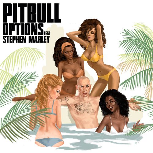 Pitbull feat. Stephen Marley - Options.mp3