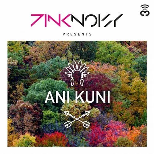 Pink Noisy  Ani Kuni (Anthony El Mejor & DJ Nil Remix) [2017]