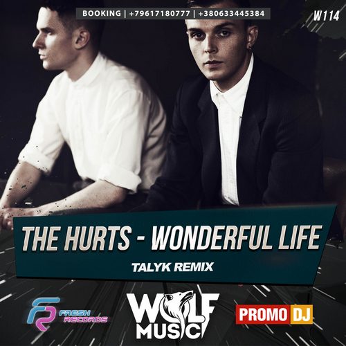 Hurts - Wonderful Life ( Talyk Remix).mp3