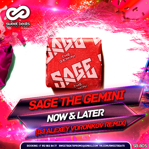 Sage The Gemini - Now & Later (DJ Alexey Voronkov Remix).mp3