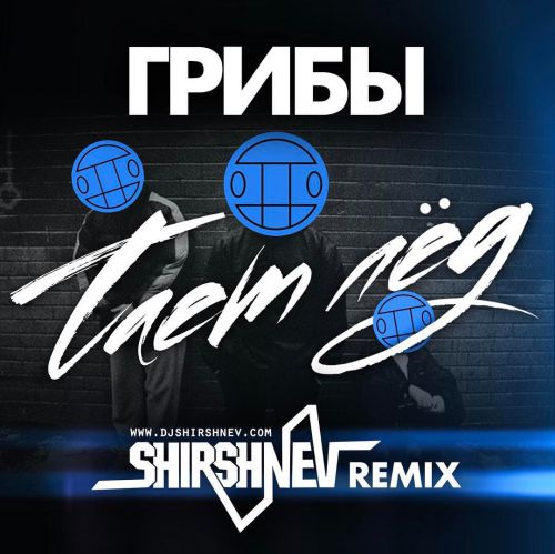  -  ̈ (Shirshnev Remix) [2017]