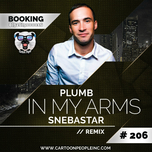 Plumb - In My Arms (SNEBASTAR Remix) (Radio).mp3