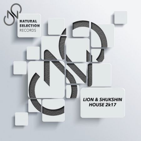 Lion & Shukshin - House 2k17 (Original Mix).mp3