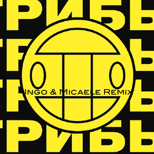  -   (Ingo & Micaele Remix) [2017]