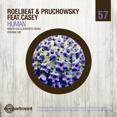 RoelBeat & Pruchkovsky feat Casey - Human ( Original Mix ).mp3
