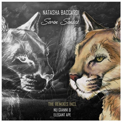 Natasha Baccardi - Seven Senses ( Nu Gianni Remix ).mp3