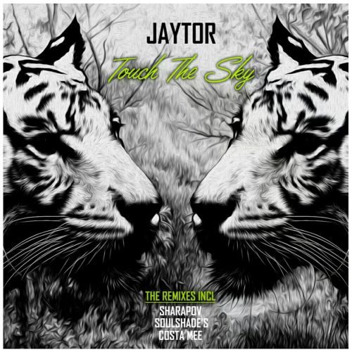 Jaytor - Touch The Sky (Sharapov Remix).mp3