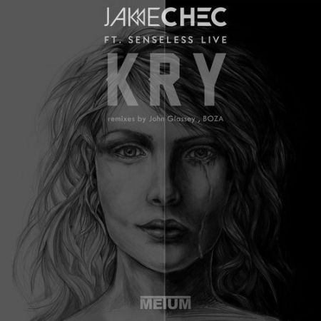 Jake Chec, Senseless Live - Kry (Original Mix) [2017]