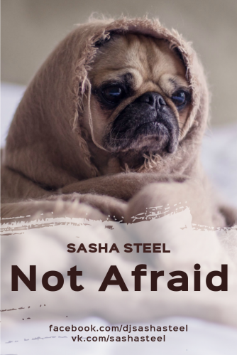 Sasha Steel - Not Afraid (Original Mix) [2017]